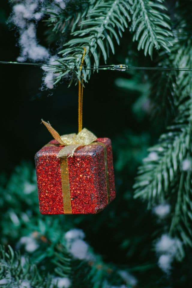 Un cadeau de Noël