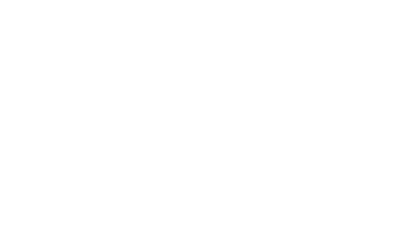 Fondation Papillon